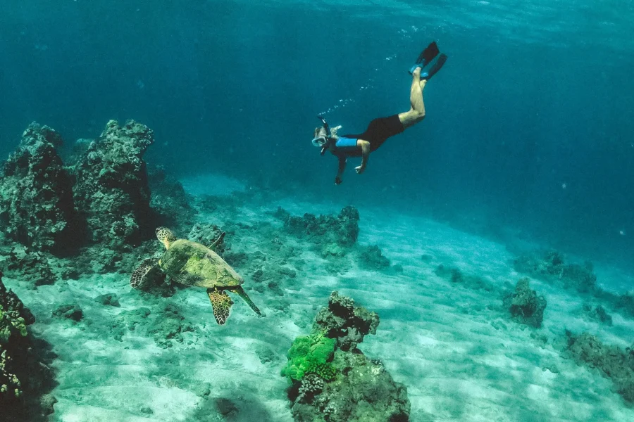 Hurghada Tour: Desert Safari, Snorkeling, Islands & Submarine